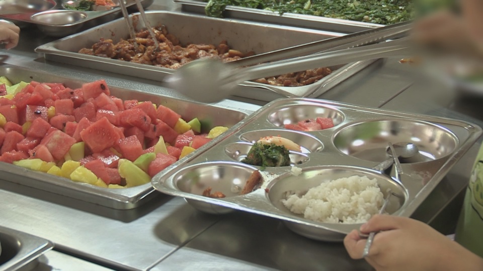 학교급식 재료 유통과정 확인 불가…관리체계 구멍 숭숭