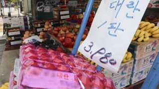 추락하는 계란값…30개들이 한판에 3천원대 등장