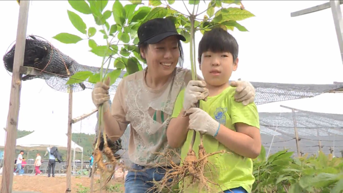 '한국 최고 온라인카지노 추천으로 떠나는 건강여행'…<em class='find'세계인삼엑스포</em 북적