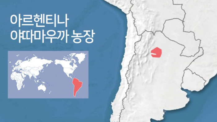 아르헨티나의 한국땅 방치되다 날릴 위기