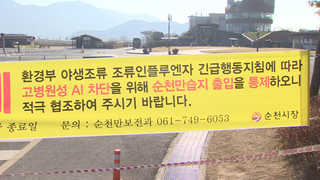 "철새 공포 시작됐다"…순천만 등 전남 철새도래지 10곳 폐쇄