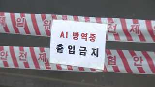 잇따른 AI 바이러스 검출…방역당국 초긴장