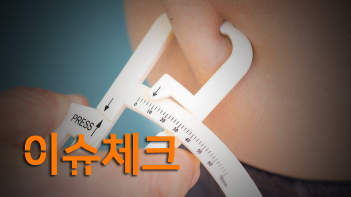 [이슈] 새해 단골 목표 '다이어트'…성공 요령은?