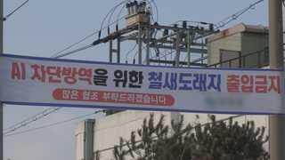 나주서 또 AI 검출…철새 북상에 수도권도 위험