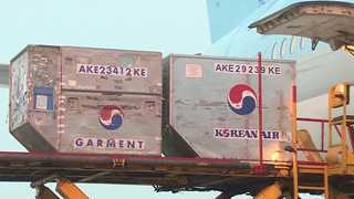 '개장 첫날인데'…인천공항 제2터미널 수하물 누락 속출
