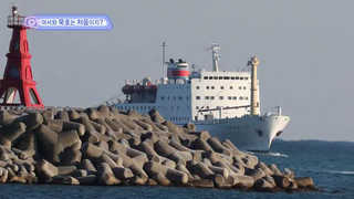 [클릭! 베스트 컷] 어서와 묵호는 처음이지? 外