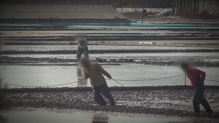 온라인카지노 합법 유니벳노예 피해자 "재판 부실" 소송 냈지만 1심 패소