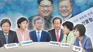 판문점 선언 국회비준, 정치 쟁점화