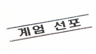 청와대 "계엄 문건 심각성 파악에 시간 걸려"