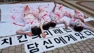 개ㆍ고양이에 닭까지…거세지는 동물생존권 외침