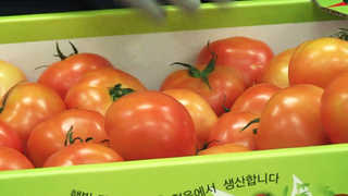 과일 유통기한 대폭 늘린다…부패 막는 포장기술 개발