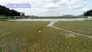 [클릭! 베스트 컷] 폭염·가뭄에 속 타는 농심 外