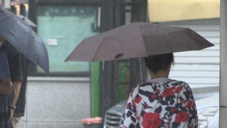 밤사이 전국 많은 비…시간당 50㎜ 국지성 폭우