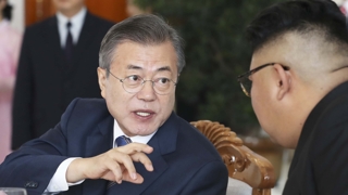북한 매체 '평양공동선언' 보도…비핵화도 언급