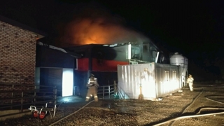 [사건사고] 경기 연천 축사 불…돼지 1,000여마리 폐사 外