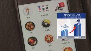높은 광고비ㆍ비싼 수수료…배달앱에 허리휘는 음식점