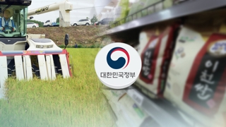 생산량 감소에 쌀값 고공행진…정부 "수급 안정"