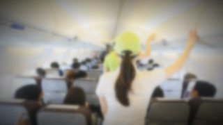 [단독] 미투운동 확산에도 승무원 성추행 급증