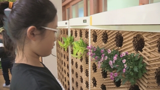 미세먼지 잡고 정서적 안정까지…교실 속 '작은 정원'