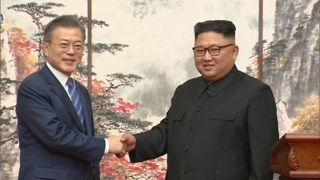 '연내 서울답방' 변경없다…靑 북미회담 연계론 선긋기