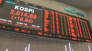 증시 진정 당정 총력전에도…"당분간은 약세장"
