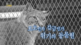 [연합뉴스온라인카지노 조작 유니88 스페셜] 60회 : 보호인가 감금인가…위기의 <em class='find'동물원</em