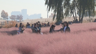 깊어가는 가을…서울 도심서 행사ㆍ축제 잇따라