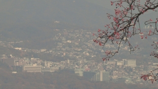 날씨 온화해지니 중국발 스모그…당분간 공기질 나쁨