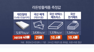 "국산 베개서도 라돈 검출…제품명 공개해야"