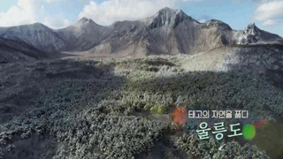 [UHD 다큐 풍경] 태고의 자연을 품다…울릉도