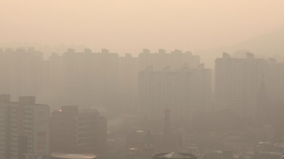"탈원전 탓" vs "다른 요인 때문"…미세먼지 원인 공방