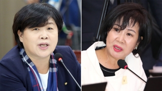 민주, 서영교ㆍ손혜원 논란 확산 신속대응…야당 맹공