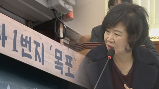 야권, 손혜원 투기의혹 쟁점화…민주, 여론동향 주시