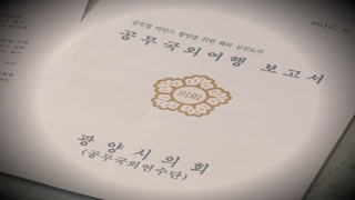 "쉼표까지 베껴"…함량 미달 기초의회 연수보고서