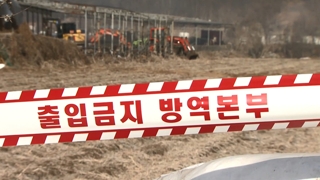 구제역 또 확진에 확산 우려…위기경보 '경계'로 격상