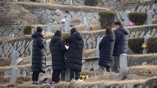 조상 음덕 기리러…설날 맞아 공원묘지 북적