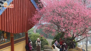 [클릭! 베스트 컷] '봄은 성큼 다가왔건만…' 外