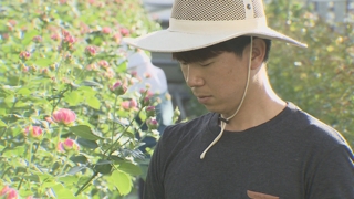 청년농 육성 지원책…실업해소ㆍ농촌 경제 살릴까