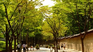 더위가 비껴가는 곳…해외 온라인카지노 녹음길 220선