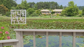 바다와 맞닿은 푸르름'…충남 온라인카지노 게임 <em class='find'천리포</em 수목원