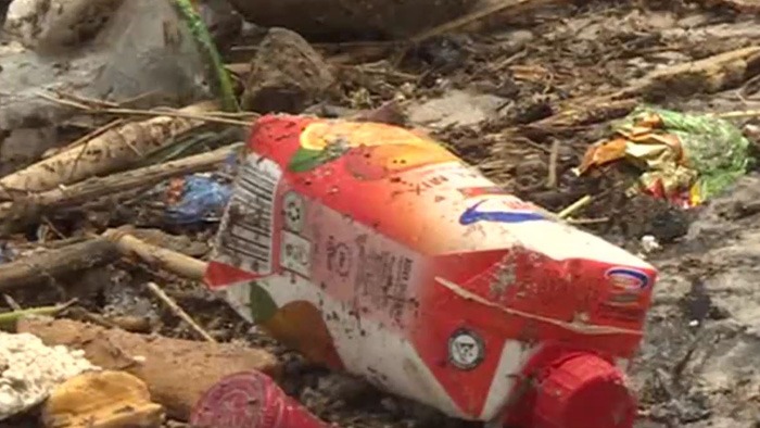 플라스틱과의 <em class='find'>전쟁</em>…애벌레에 망고 껍질까지 등장