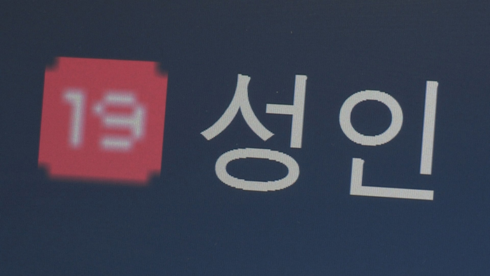 음란물 정보공유 사이트 다시 기지개…"적극 수사"