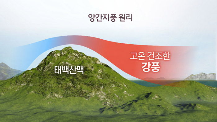 건조경보에 또 '양간지풍'…대형산불 우려