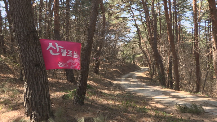 강원 영동 건조경보ㆍ<em class='find'>강풍</em>주의보…또 산불 비상