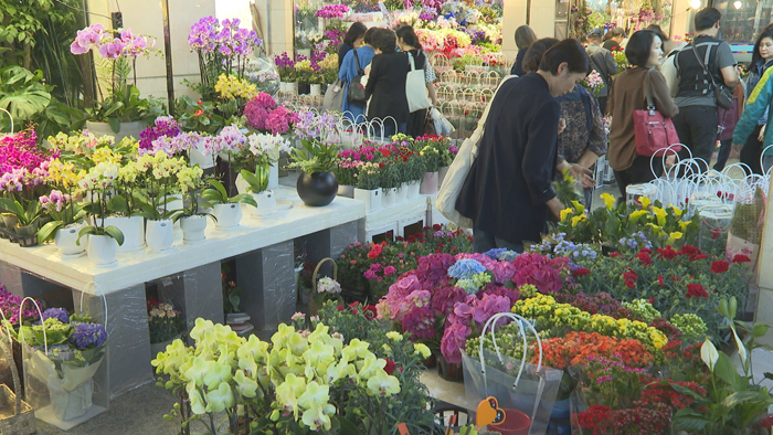 부모도 자녀도 "꽃보다 <em class='find'>현금</em>"…카네이션 수요 '뚝'