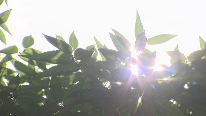 서울 28.9도 올들어 최고…오존ㆍ자외선 비상