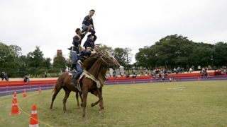[주요신문 브리핑] 천고마비의 계절…온라인카지노 후기 벳위즈서 말 축제 잇따라 外