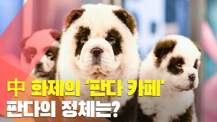 [월드줌인] 中 화제의 '해외 온라인카지노 벳무브 카페'…해외 온라인카지노 벳무브의 정체는?