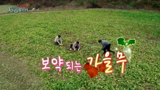 [트렌드 지금 여기] 보약되는 가을 <em class='find'무</em