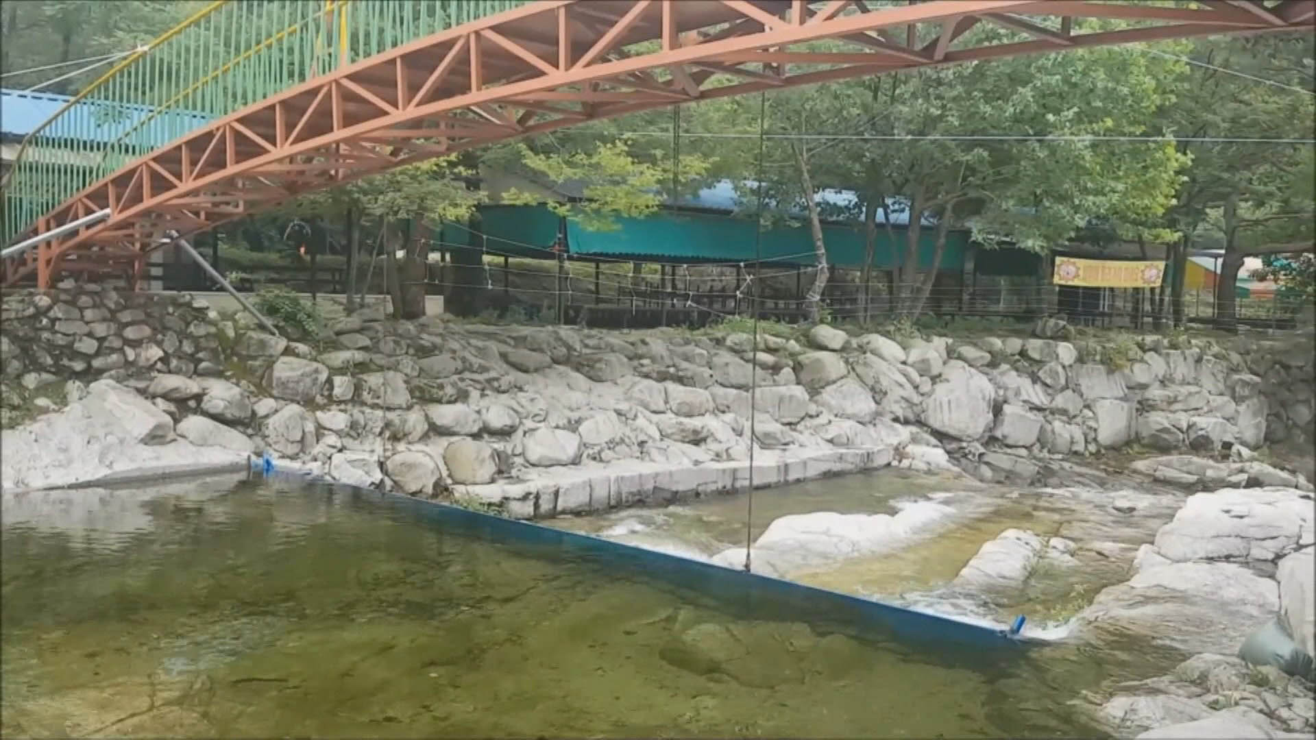 계곡 점령한 불법음식점…온라인카지노 주소도 420곳 원상복구